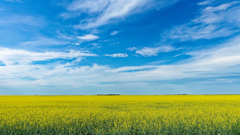 Programa de Candidatos de Saskatchewan (SINP)